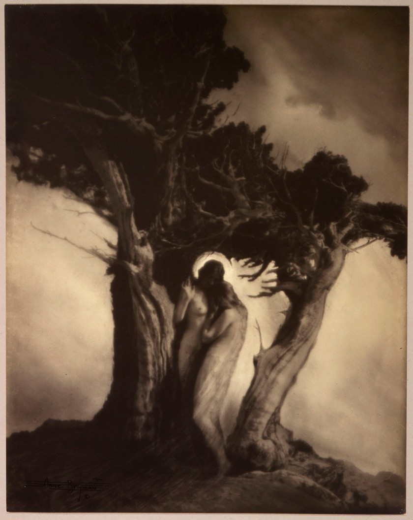 Anne Brigman (American, 1869-1960) The 'Heart of the Storm' 1902