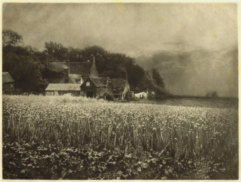 George Davison (English, 1854-1930) 'The Onion Field' 1889