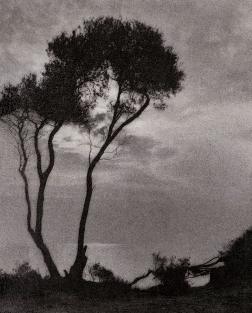 John Kauffmann (Australian, 1864-1942) 'The Silent Watcher' 1919