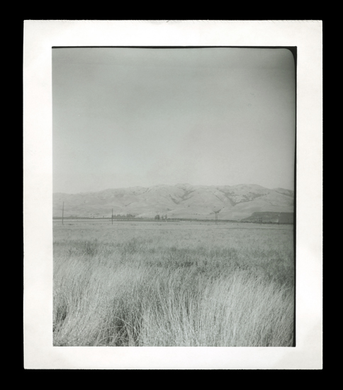 Marcus Bunyan (Australian, b. 1958) '... for amber waves of grain' from the series ‘The Shape of Dreams’ 2009