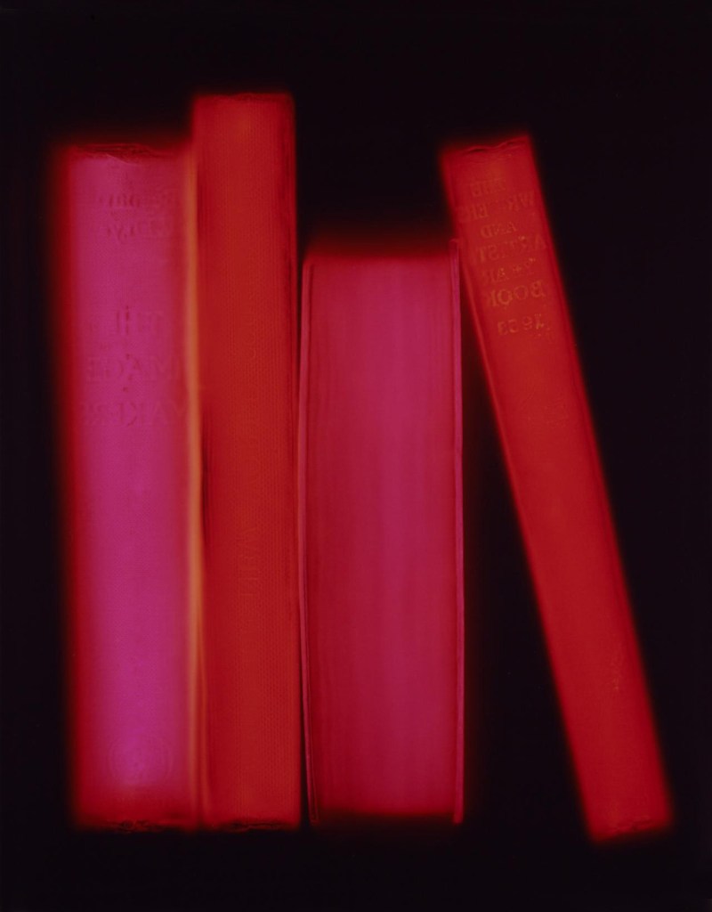 Penelope Davis (Australian, b. 1963) 'Shelf' 2008