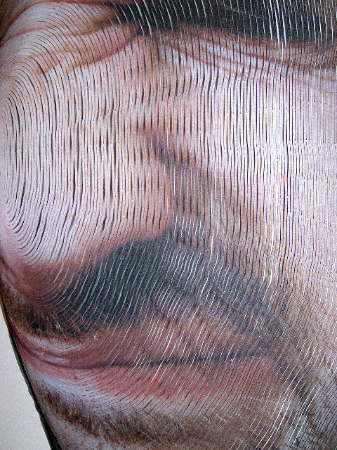 Justine Khamara (Australian, b. 1971) 'Dilated Concentrations' 2009  (detail) from the exhibition 'New 09' at Australian Centre for Contemporary Art (ACCA), Melbourne, March - May, 2009