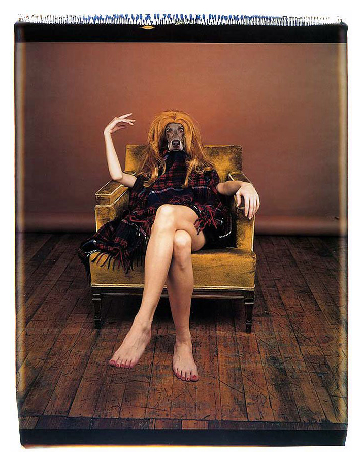 William Wegman (American, b. 1943) 'On Set' 1994