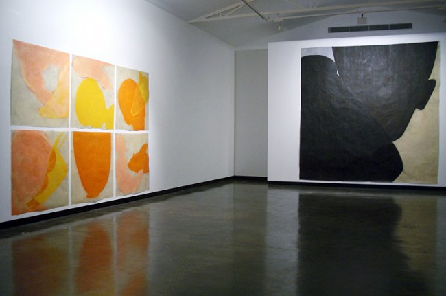 Installation view of Judith Wright's exhibition 'Desire' at Sophie Gannon Gallery, Melbourne