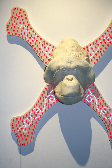 Installation view of Lisa Roet's work 'Cross Bones' (2009)