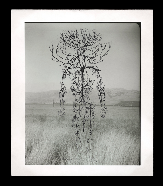 Marcus Bunyan (Australian, b. 1958) 'Untitled' from the series 'The Shape of Dreams' 2009