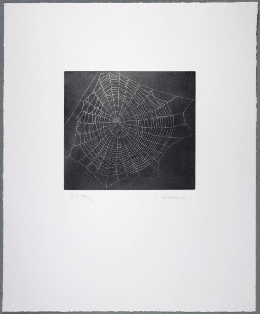Vija Celmins (Latvian-American, b. 1938) 'Untitled (Web 1)' 2001