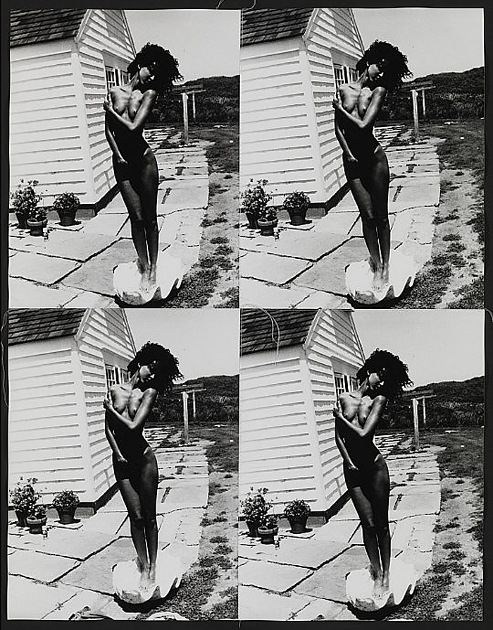 Andy Warhol (American, 1928-1987) 'Venus in Shell' 1976-1986