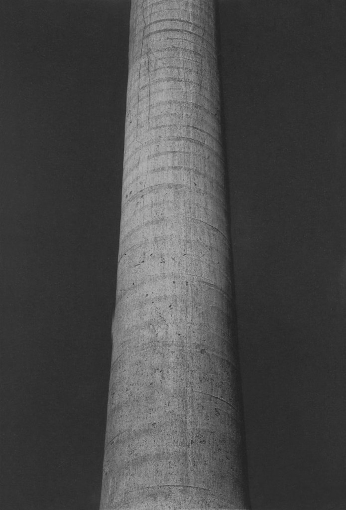 Edward Weston (American, 1886-1958) 'Palma Cuernavaca' 1925 from the exhibition 'Viva Mexico! Edward Weston and his Contemporaries' at Museum of Fine Arts, Boston, May - Nov, 2009