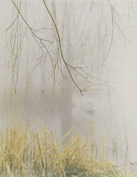 Jeannette Klute (American, 1918-2009) 'Misty Willow' Nd (early-mid 1950s)