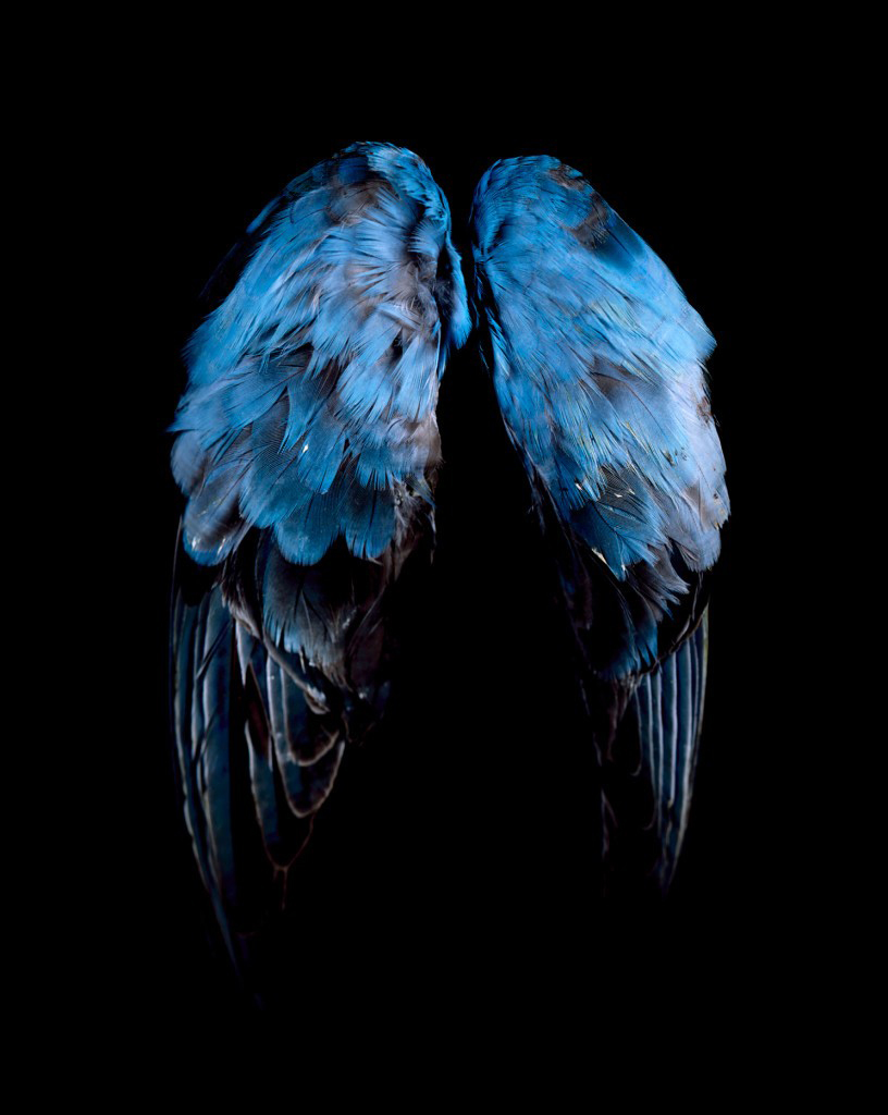 CJ Taylor (Australian, b. 1951) 'Blue, Blue, Grey' 2009 from the exhibition 'Little Treasures' at Helen Gory Galerie, Melbourne, Aug - Sept, 2009