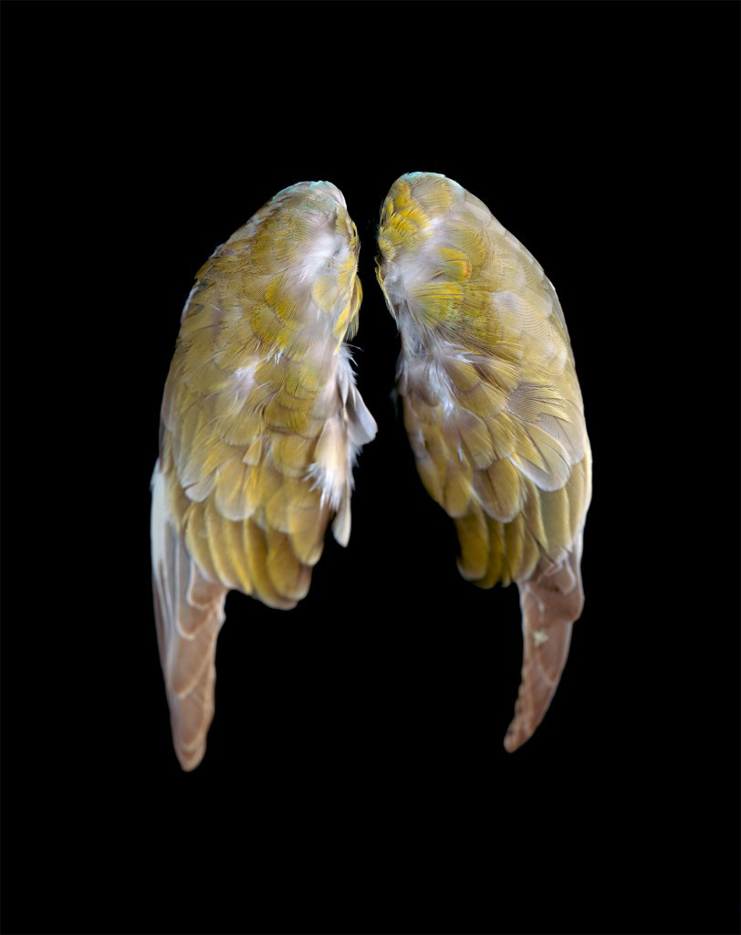 CJ Taylor (Australian, b. 1951) 'Blue, turquoise yellow green' 2009 from the exhibition 'Little Treasures' at Helen Gory Galerie, Melbourne, Aug - Sept, 2009