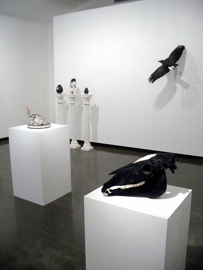 Julia de Ville 'Cineraria' installation view at Sophie Gannon Gallery, Melbourne