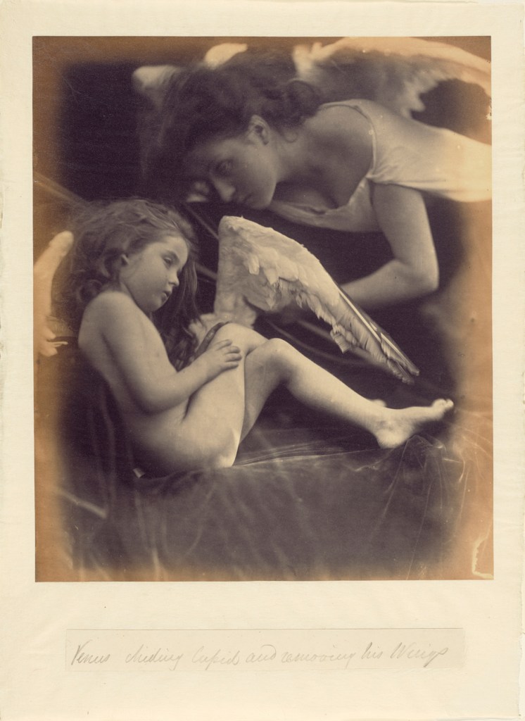 Julia Margaret Cameron (British, born India, 1815-1879) 'Venus Chiding Cupid and Removing His Wings' 1872