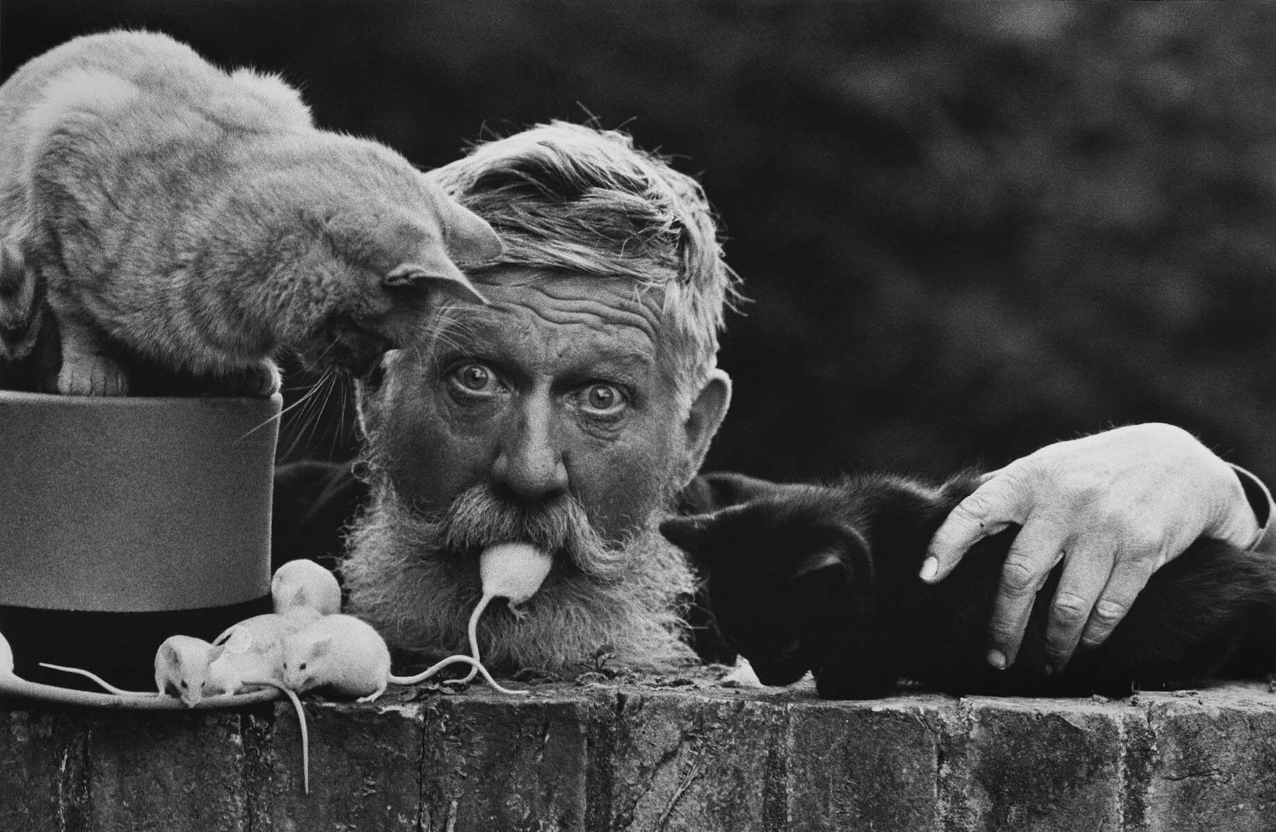 Don McCullin (British, b. 1935) 'Snowy, Cambridge, early 1970s' c. 1970s