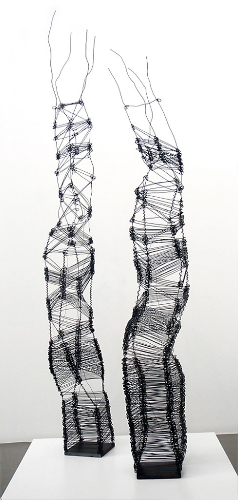 Lyndal Hargrave (Australia, b. 1959) 'Hairpin Dragons I & II' 2009