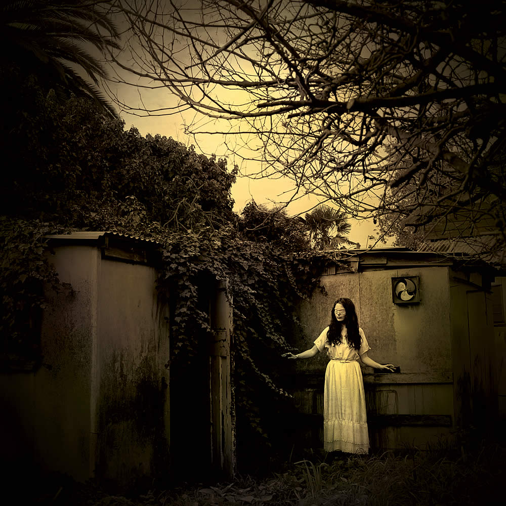 Jane Burton (Australian, b. 1966) 'Ivy #2' 2009 from the exhibition 'Ivy' photographs by Jane Burton at Karen Woodbury Gallery, Richmond, Melbourne, Sept, 2009