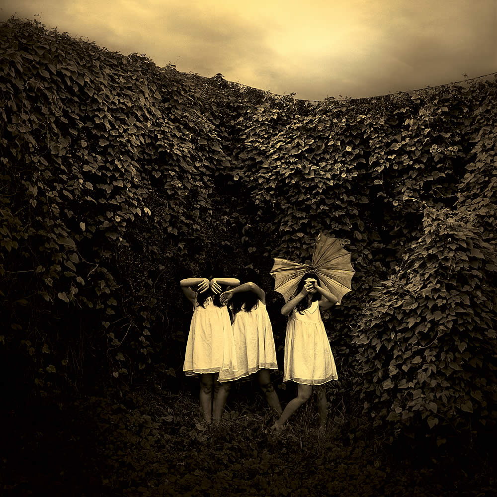 Jane Burton (Australian, b. 1966) 'Ivy #3' 2009 from the exhibition 'Ivy' photographs by Jane Burton at Karen Woodbury Gallery, Richmond, Melbourne, Sept, 2009