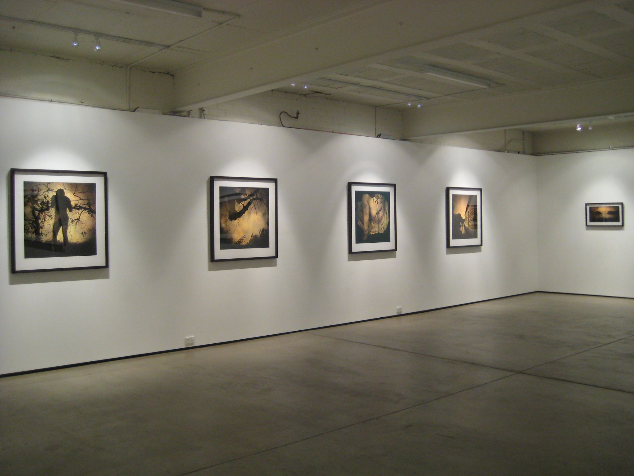 Installation view of 'Ivy' by Jane Burton at Karen Woodbury Gallery, Melbourne