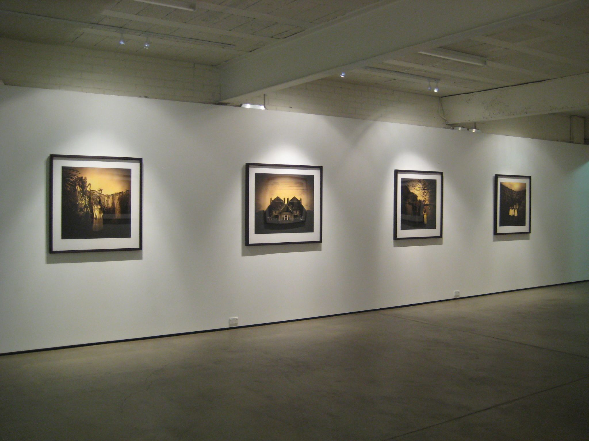 Installation view of 'Ivy' by Jane Burton at Karen Woodbury Gallery, Melbourne