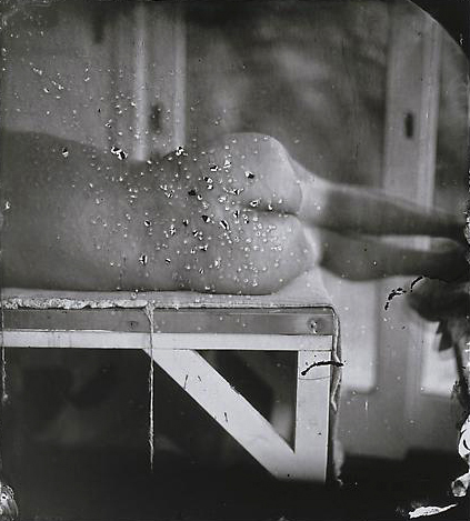 Sally Mann (American, b. 1951) 'Kingfisher's Wing' 2007