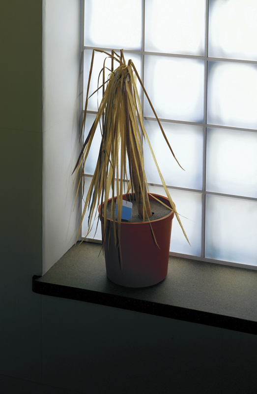 Thomas Demand (German, b. 1964) 'Tavern IV' 2006 Thomas Demand (German, b. 1964) 'Brennerautobahn' 1994 from the exhibition 'Thomas Demand in Berlin' at the Neue Nationalgalerie, Berlin, Sept 2009 - Jan 2010