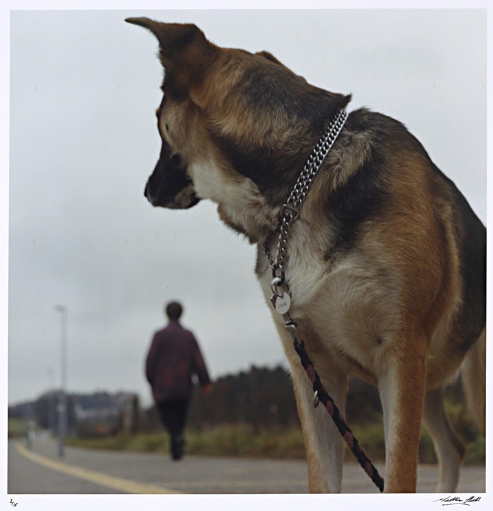 Matthew Sleeth (Australian, b. 1972) From the series 'Opfikon' 1997