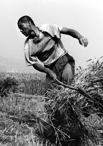 Hu Wugong. 'Migrant wheat farmer in the field in Guanzhong' 1998 from the exhibition 'Humanism in China: A Contemporary Record of Photography' at the China Institute in America, New York, Sept - Dec, 2009