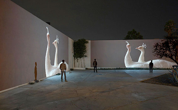 Doug Aitken (American, b. 1968) Still from 'Migration' 2008