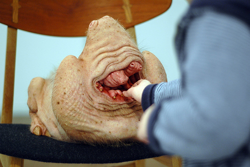 Patricia Piccinini (Australian, b. 1965) 'Doubting Thomas' 2008 (detail)