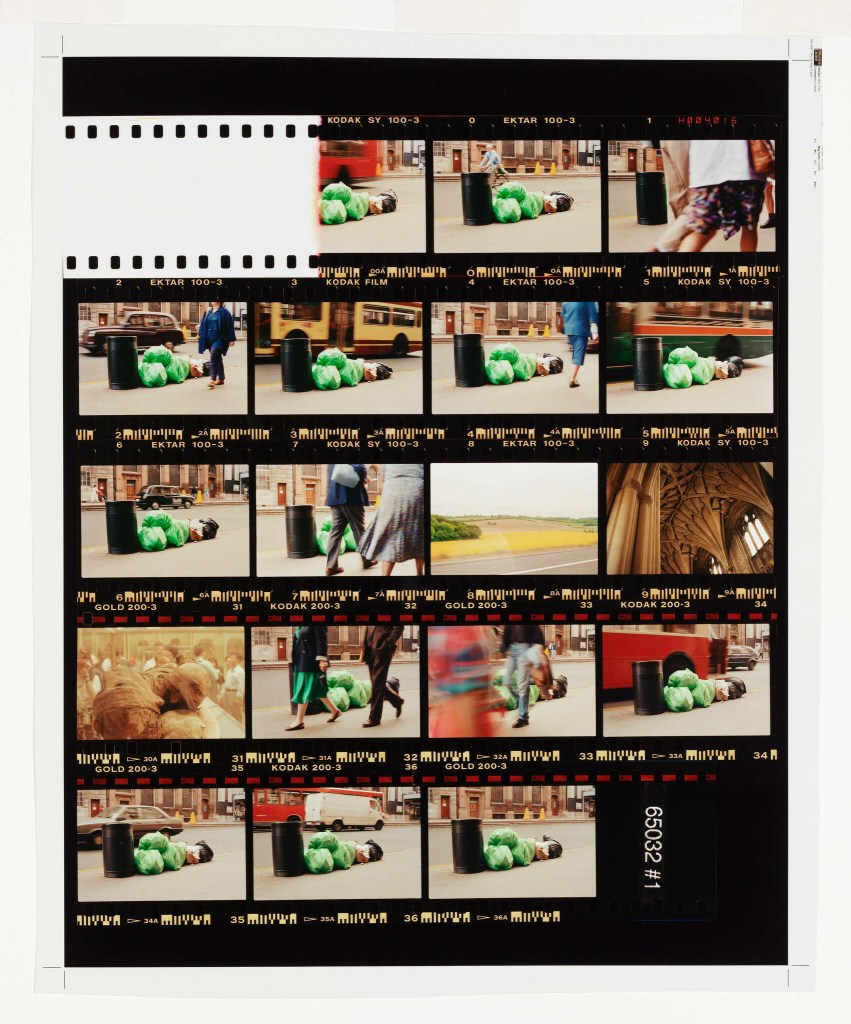 Rachel Harrison (American, b. 1966) 'Contact Sheet (should home windows...)' 1996