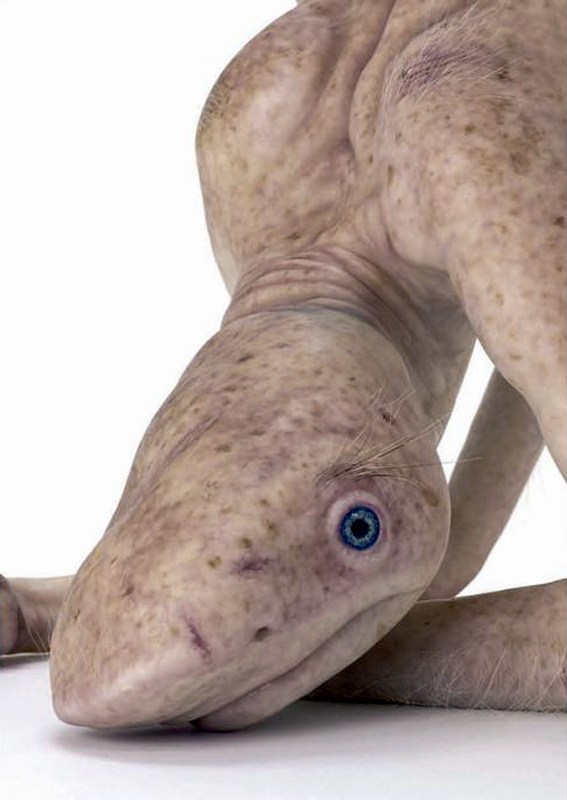 Patricia Piccinini (Australian, b. 1965) 'The Bottom Feeder' 2009 (detail)