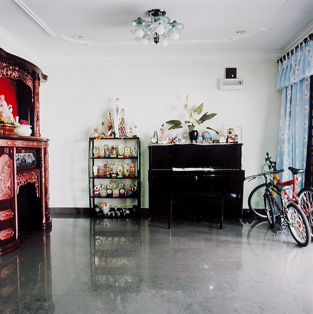 Simryn Gill (Australian born Singapore, b. 1959) 'Dalam No. 162' 2001