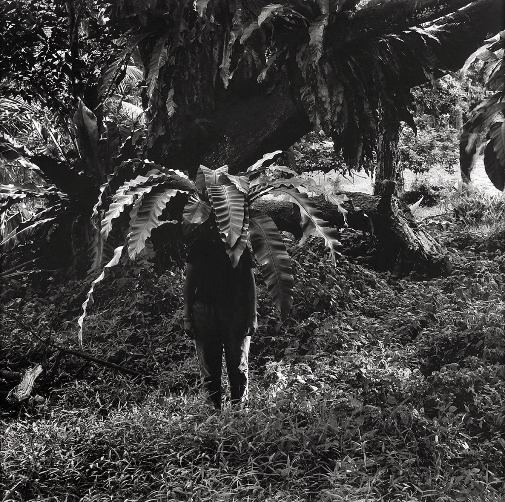 Simryn Gill (Australian born Singapore, b. 1959) 'Vegetation #1' 1999