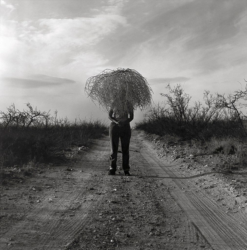 Simryn Gill (Australian born Singapore, b. 1959) 'Vegetation #3' 1999