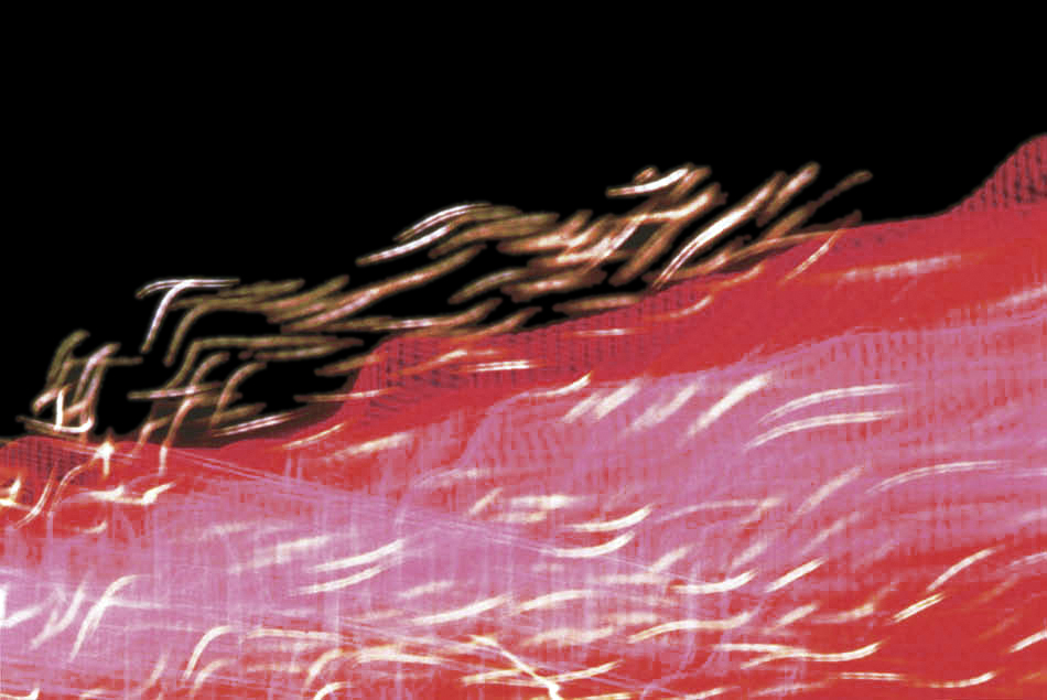 László Moholy-Nagy (Hungarian, 1895-1946) 'Untitled/Night-Time Traffic (Pink and Red Traffic Stream with White Sparks)' 1937-1946 László Moholy-Nagy (Hungarian, 1895-1946) 'Untitled/Night-Time Traffic (Pink and Red Traffic Stream with White Sparks)' 1937-1946