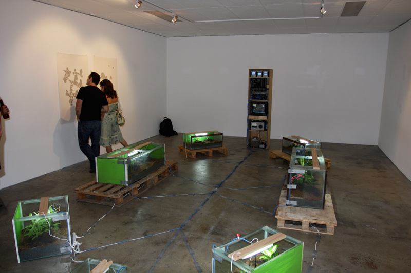 Shifted opening - Kent Wilson 'Higher Breeds'