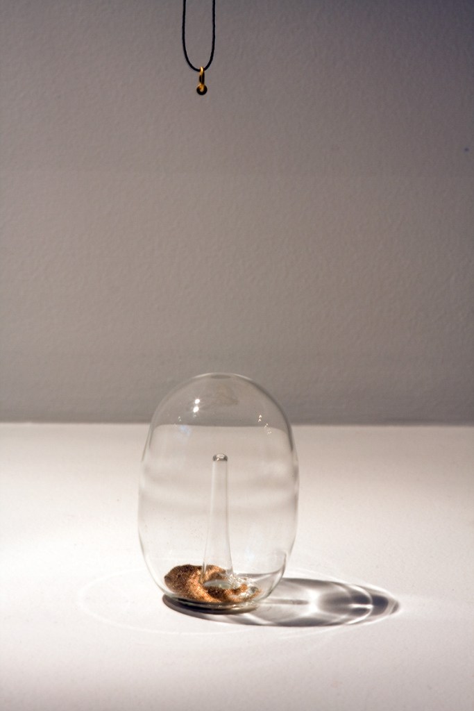 Kiko Gianocca. 'Horse' 2009 (installation view)