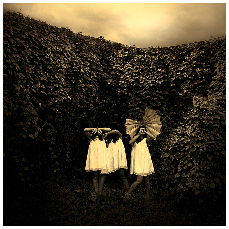 Jane Burton (Australian, b. 1966) 'Ivy # 3' 2009