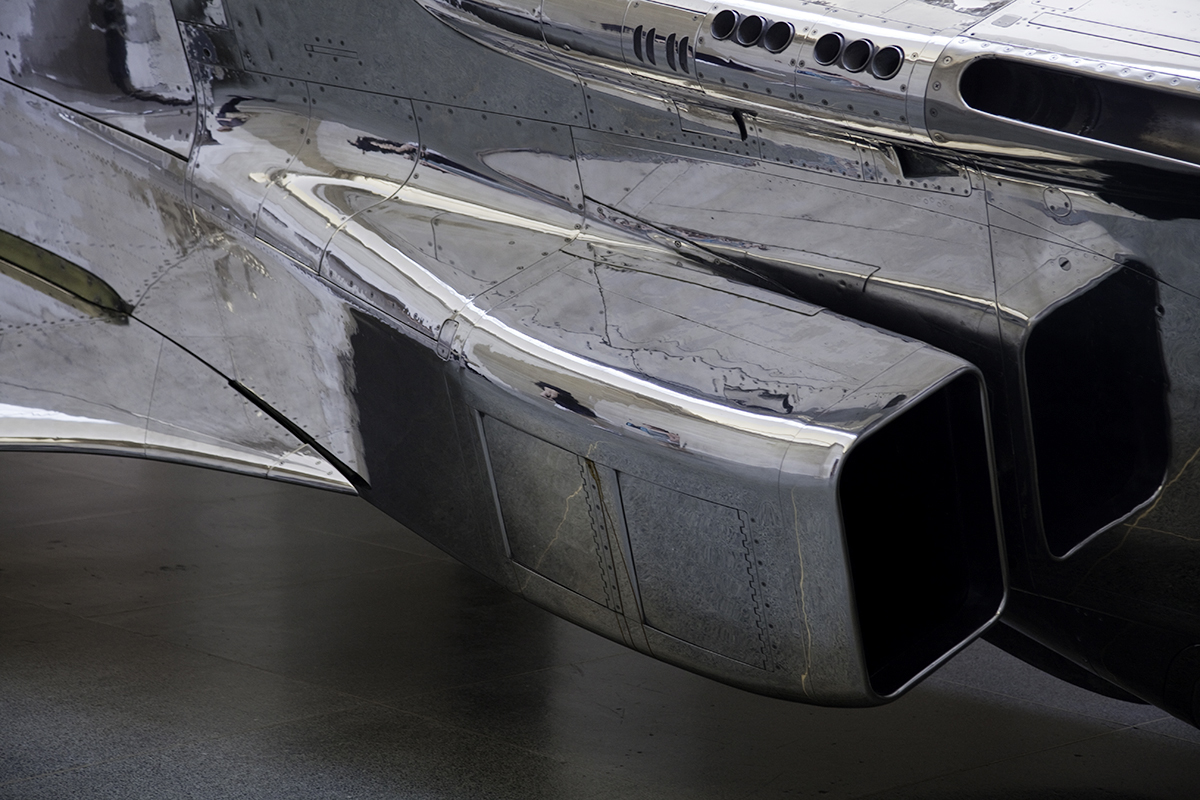 from the exhibition 'Harrier and Jaguar' (2010) by Fiona Banner: Tate Britain Duveens Commission 2010, June 2010 - January 2011 Fiona Banner (British, b. 1966) 'Harrier and Jaguar' 2010 (Jaguar detail) from the exhibition 'Harrier and Jaguar' (2010) by Fiona Banner: Tate Britain Duveens Commission 2010, June 2010 - January 2011