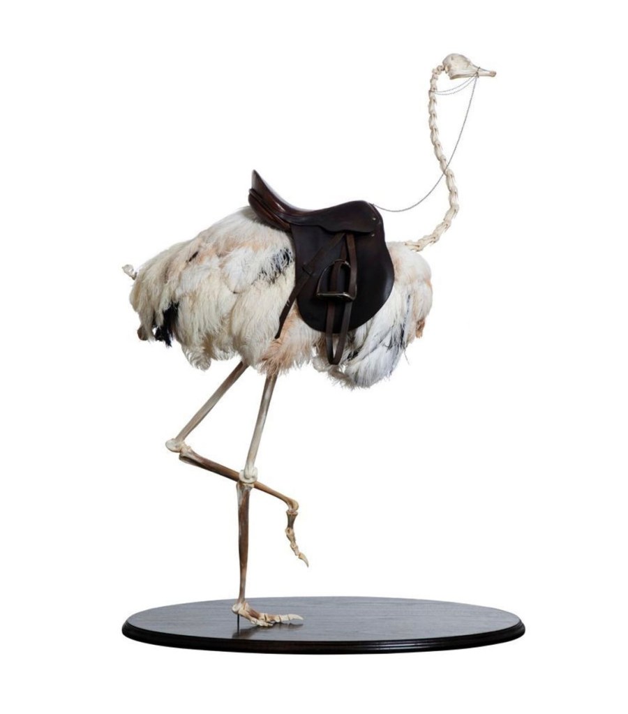 Julia deVille (Australian, b. 1982) 'Bird or beast' 2010