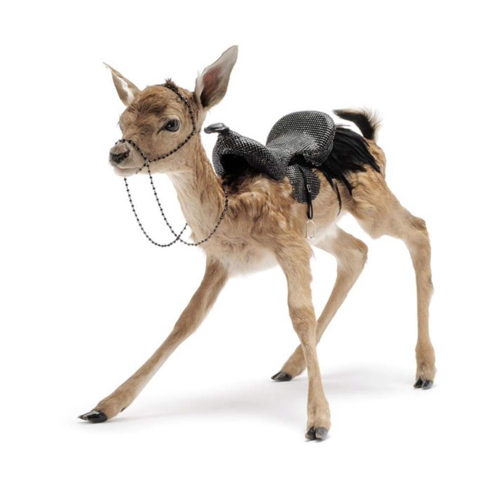 Julia deVille (Australian, b. 1982) 'Nevermore' 2010 from the exhibition 'Night's Plutonian Shore' by Julia deVille at Sophie Gannon Gallery, Richmond, July - August, 2010