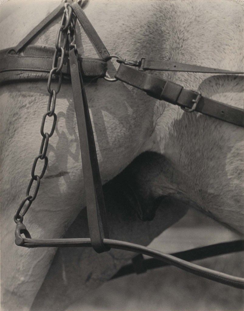 Alfred Stieglitz (American, 1864-1946) 'Spiritual America' 1923 