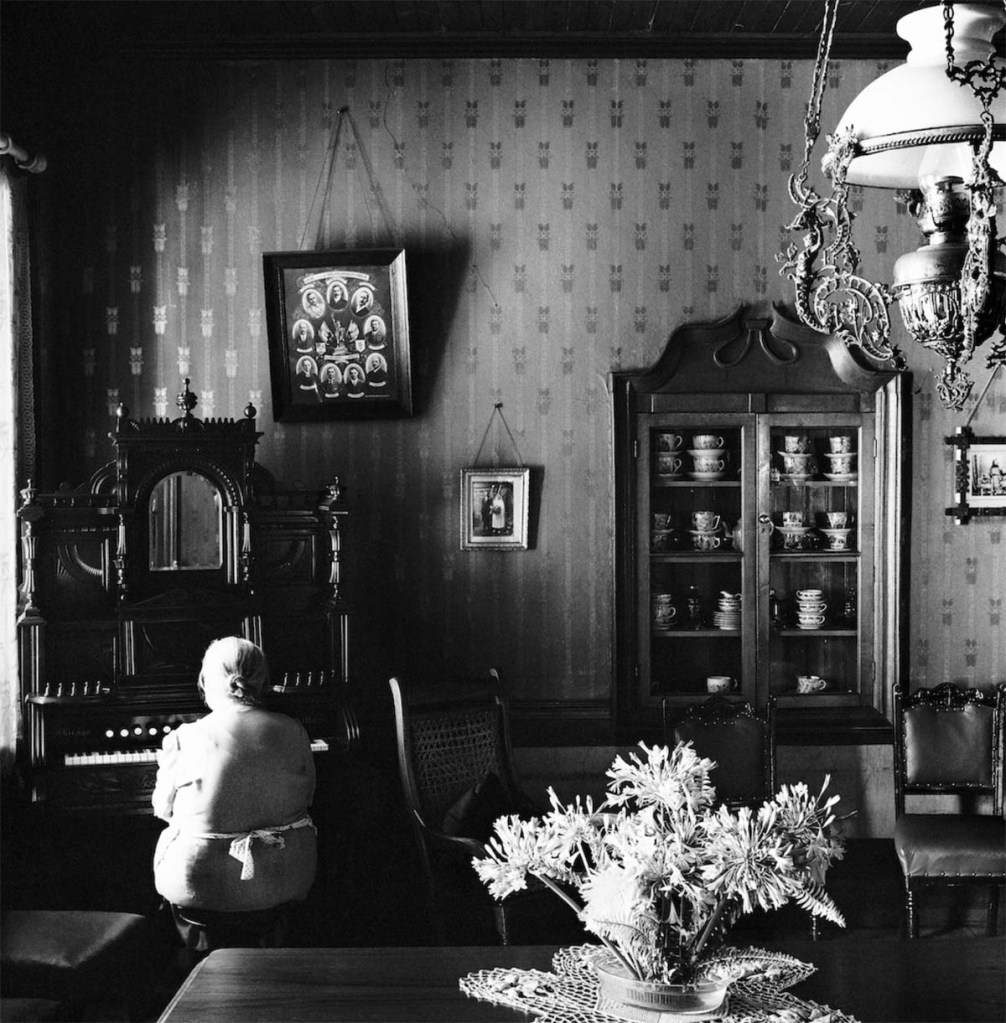 David Goldblatt (South Africa, 1930-2018) 'On an ostrich farm near Oudtshoorn, Cape Province (Western Cape)' 1967