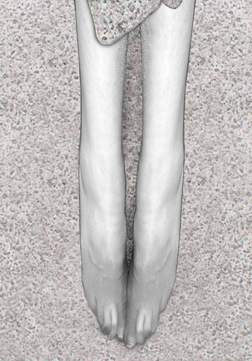 Pat Brassington. 'Like A Bird Now' 2010 from the exhibition 'Pat Brassington' at Arc One Gallery, Melbourne, Sun - Sept, 2010