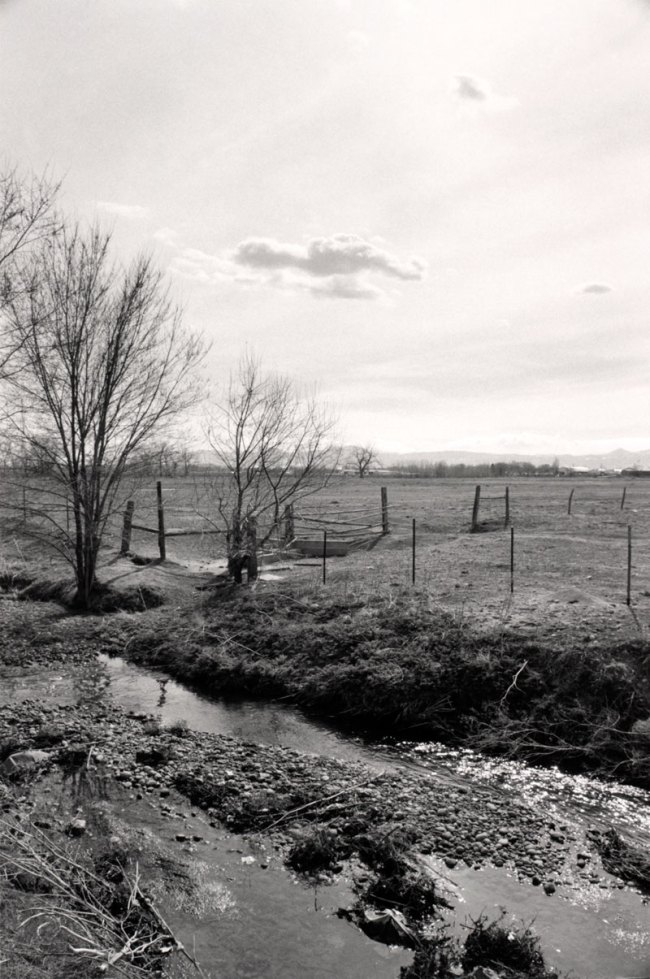 Robert Adams (American, b. 1937) 'Untitled' from the series 'Listening to the River' 1985-1987 from the exhibition 'Robert Adams:  The Place We Live, A Retrospective Selection of Photographs' at the Vancouver Art Gallery
