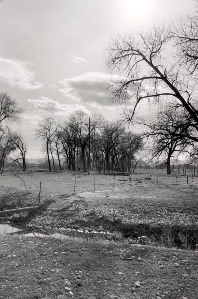 Robert Adams (American, b. 1937) 'Untitled' from the series 'Listening to the River' 1985-1987 from the exhibition 'Robert Adams:  The Place We Live, A Retrospective Selection of Photographs' at the Vancouver Art Gallery
