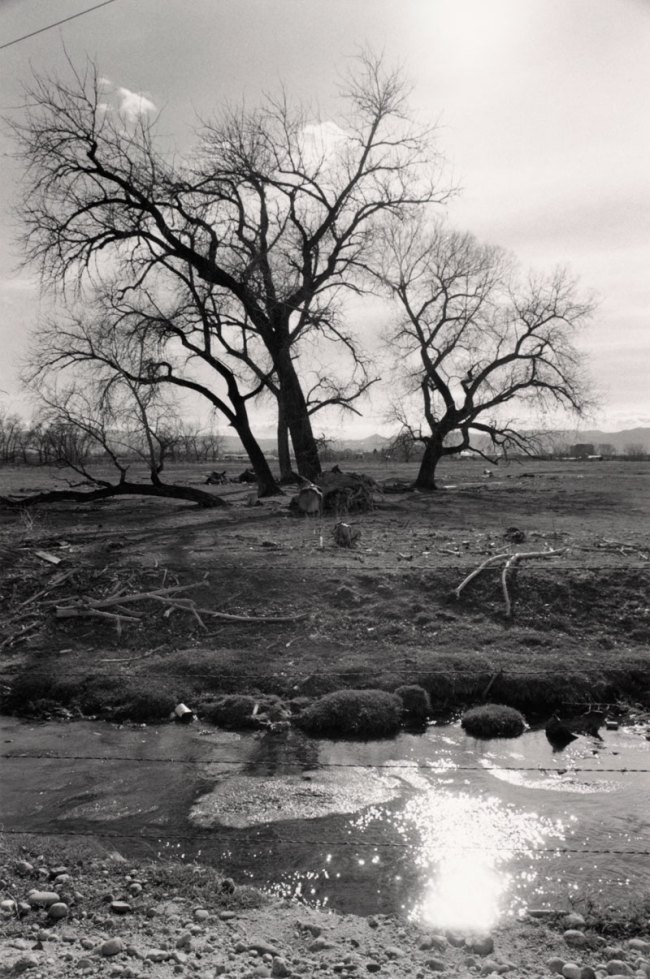 Robert Adams (American, b. 1937) 'Untitled' from the series 'Listening to the River' 1985-1987 from the exhibition 'Robert Adams:  The Place We Live, A Retrospective Selection of Photographs' at the Vancouver Art Gallery