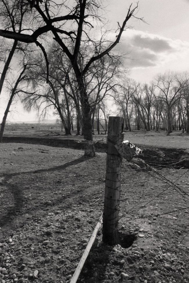 Robert Adams (American, b. 1937) 'Untitled' from the series 'Listening to the River' 1985-1987 from the exhibition 'Robert Adams:  The Place We Live, A Retrospective Selection of Photographs' at the Vancouver Art Gallery