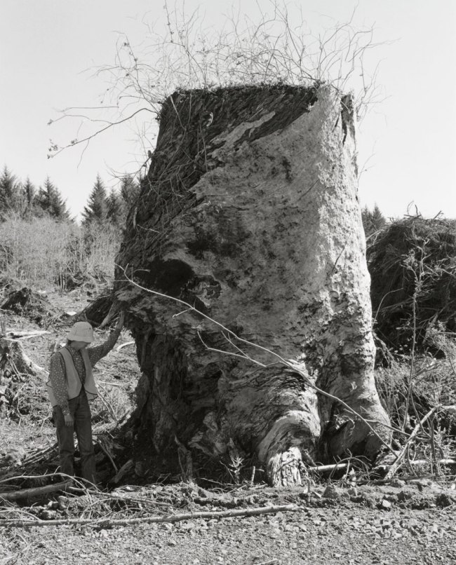 Robert Adams (American, b. 1937) 'Kerstin, Next to an Old-Growth Stump, Coos County, Oregon' 1999-2003 from the exhibition 'Robert Adams:  The Place We Live, A Retrospective Selection of Photographs' at the Vancouver Art Gallery